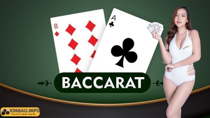 Cách áp dụng phương pháp 6789 trong baccarat từ chuyên gia