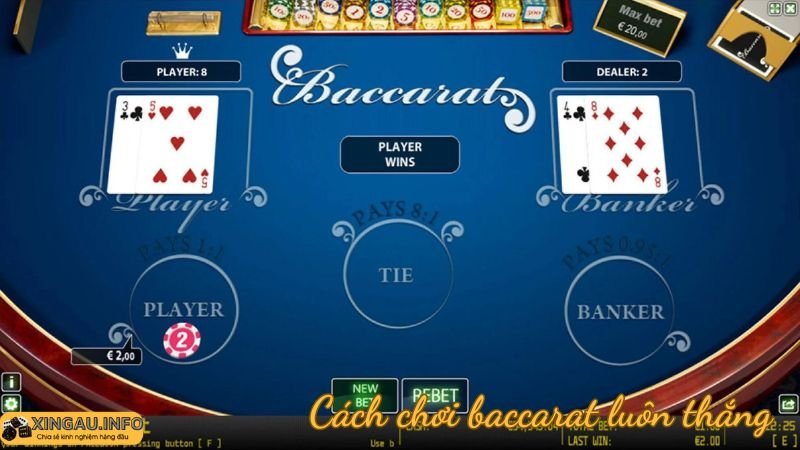 Kỹ thuật chơi Baccarat thành công: Quản lý thời gian hiệu quả