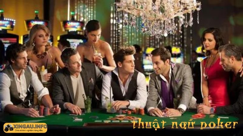 Thuật ngữ poker là gì?