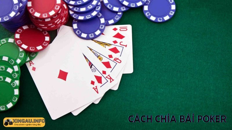 Các bước chia bài poker