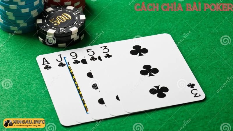 Các lỗi thường gặp khi vânh dụng trong cách chia bài poker