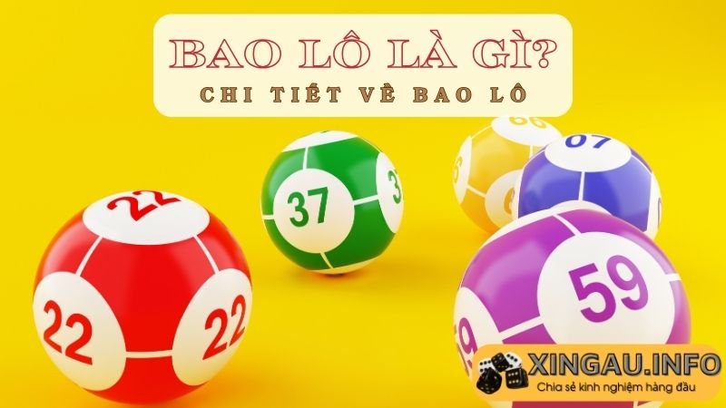 Giới thiệu về bao lô