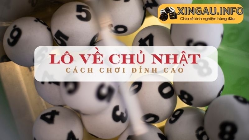 Lô hay đi cùng nhau theo cặp