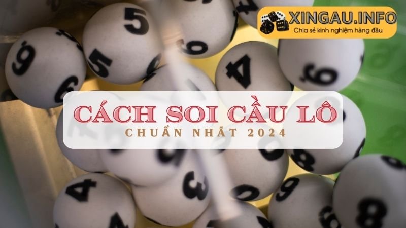 Cách soi cầu lô kép từ đầu đuôi câm