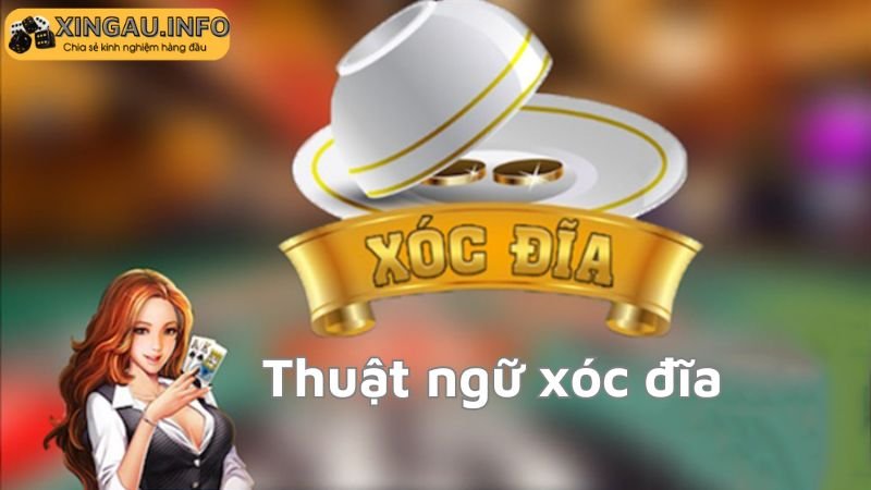 Các thuật ngữ xóc đĩa