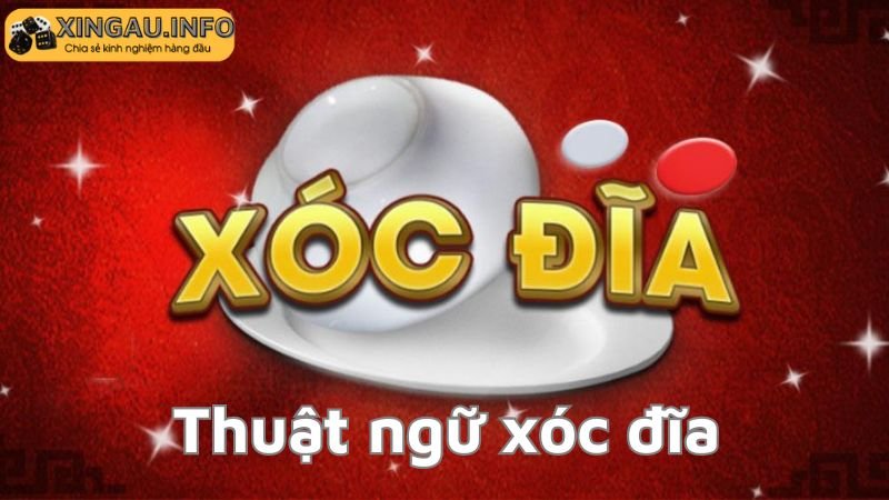 Khái niệm thuật ngữ xóc đĩa