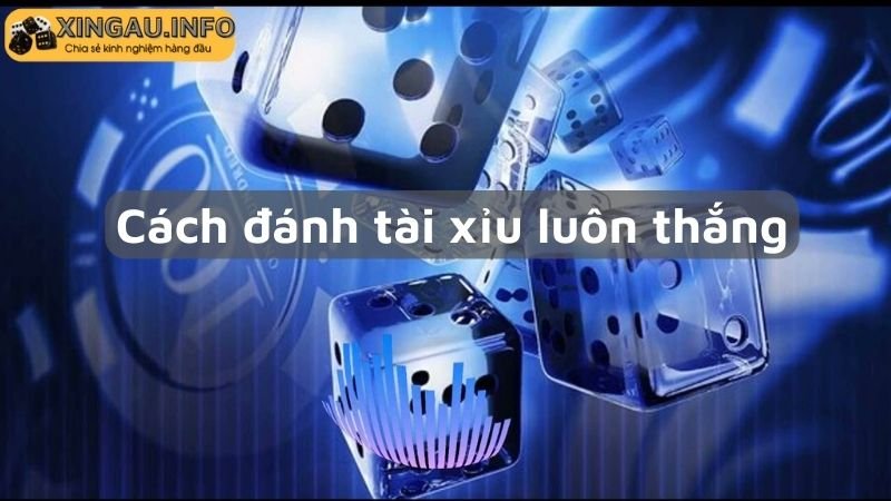 Cách đánh tài xỉu luôn thắng