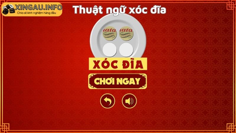 Các thuật ngữ xóc đĩa