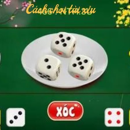 Cách chơi tài xỉu – Bí kíp từ chuyên gia