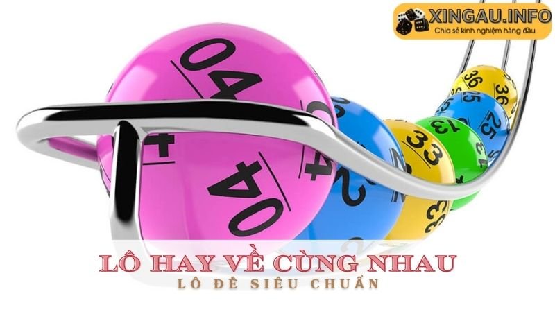 Các cặp lô hay về cùng nhau xuất phát từ bảng gan