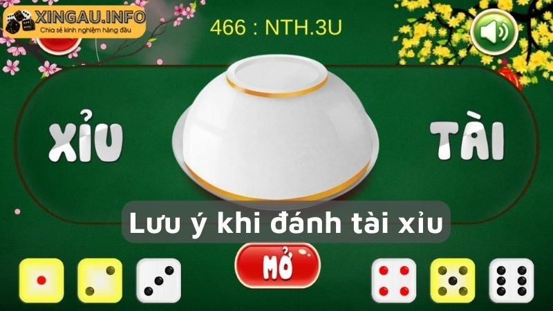 Lưu ý khi đánh tài xỉu