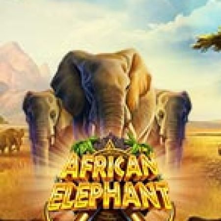 Voi Rừng Châu Phi – African Elephant Slot: Trò Chơi Slot Online Bạn Không Thể Bỏ Qua Trong 2024