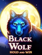 Tìm Hiểu Về Black Wolf Slot: Cách Chơi, Tips & Tricks Để Thắng Lớn