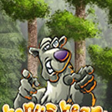 Bonus Bear Slot – Hướng Dẫn Chơi Slot Online Chi Tiết Cho Người Mới