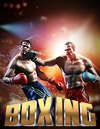 Boxing Slot Online: Nơi Hội Tụ Của Các Siêu Phẩm Slot 2024