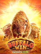 Cuộc Chiến Hoang Dã – Buffalo Win Slot: Trò Chơi Slot Online Bạn Không Thể Bỏ Qua Trong 2024