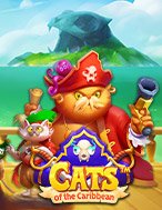 Mèo Vùng Carribbean – Cats of the Caribbean Slot – Kho Game Slot Online Uy Tín và Đa Dạng Nhất