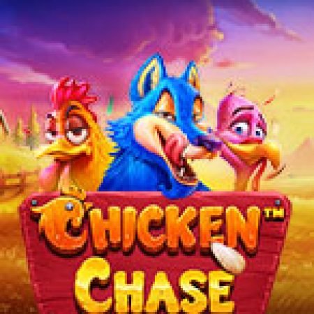 Cáo Lùa Gà – Chicken Chase Slot – Hướng Dẫn Chơi Slot Online Chi Tiết Cho Người Mới