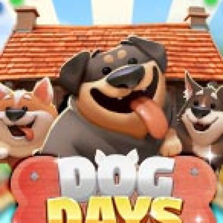 Giới Thiệu Dog Days Slot: Luật Chơi, Mẹo Thắng & Ưu Đãi Độc Quyền