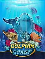 Giới Thiệu Kho Báu Cá Heo – Dolphin Coast Slot: Luật Chơi, Mẹo Thắng & Ưu Đãi Độc Quyền