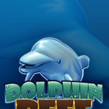 Tìm Hiểu Về Dolphin Reef Slot: Cách Chơi, Tips & Tricks Để Thắng Lớn