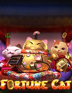 Fortune Cat Slot – Hướng Dẫn Chơi Slot Online Chi Tiết Cho Người Mới