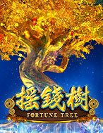 Khám Phá Fortune Tree Slot: Trò Chơi Slot Trực Tuyến Hấp Dẫn Nhất 2024