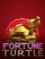 Tìm Hiểu Về Fortune Turtle Slot: Cách Chơi, Tips & Tricks Để Thắng Lớn