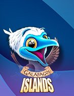 Khám Phá Galapagos Islands Slot: Trò Chơi Slot Trực Tuyến Hấp Dẫn Nhất 2024