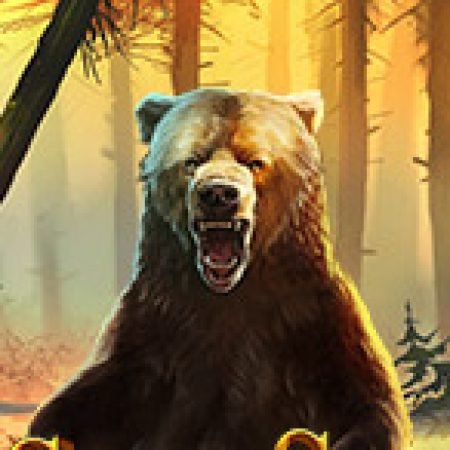 Khám Phá Grizzly Gold Slot: Trò Chơi Slot Trực Tuyến Hấp Dẫn Nhất 2024