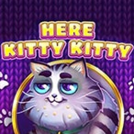 Mèo Con Ngỗ Ngược – Here Kitty Kitty Slot Online: Nơi Hội Tụ Của Các Siêu Phẩm Slot 2024