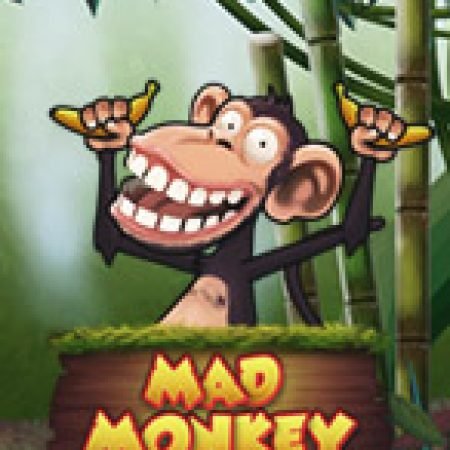 Hướng Dẫn Đăng Ký Mad Monkey Slot: Bắt Đầu Hành Trình Giành Jackpot