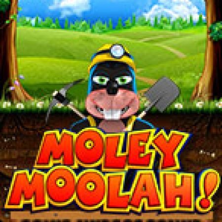 Giới Thiệu Moley Moolah Slot: Luật Chơi, Mẹo Thắng & Ưu Đãi Độc Quyền