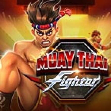 Giới Thiệu Muay Thai Fighter Slot: Luật Chơi, Mẹo Thắng & Ưu Đãi Độc Quyền