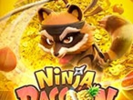 Ninja Gấu Mèo – Ninja Raccoon Frenzy Slot – Hướng Dẫn Chơi Slot Online Chi Tiết Cho Người Mới