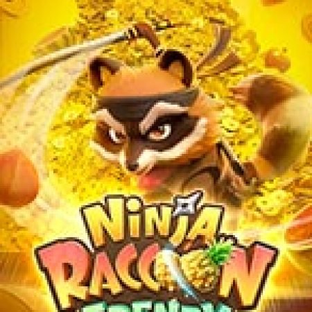 Ninja Gấu Mèo – Ninja Raccoon Frenzy Slot – Hướng Dẫn Chơi Slot Online Chi Tiết Cho Người Mới