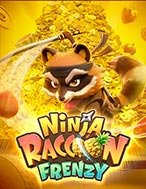 Ninja Gấu Mèo – Ninja Raccoon Frenzy Slot – Hướng Dẫn Chơi Slot Online Chi Tiết Cho Người Mới