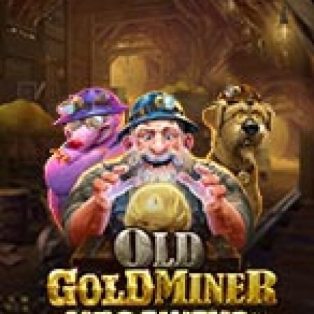 Khám Phá Mỏ Vàng Bị Lãng Quên – Old Gold Miner Megaways Slot: Trò Chơi Slot Trực Tuyến Hấp Dẫn Nhất 2024