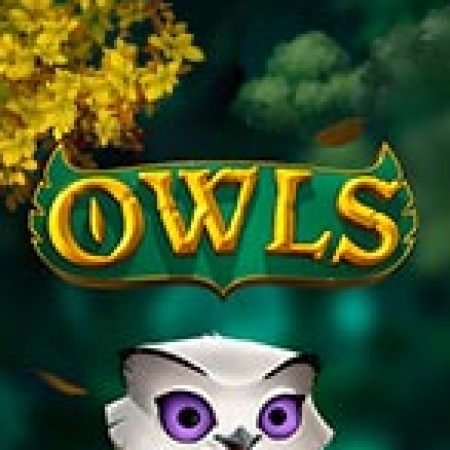 Cú Đêm – Owls Slot – Kho Game Slot Online Uy Tín và Đa Dạng Nhất