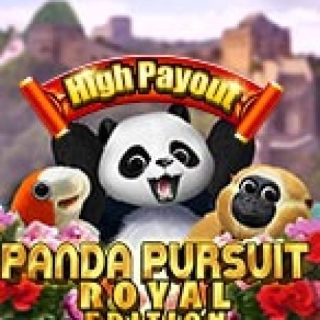 Giới Thiệu Panda Pursuit Royal Edition Slot: Luật Chơi, Mẹo Thắng & Ưu Đãi Độc Quyền