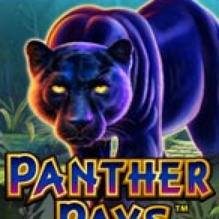 Tìm Hiểu Về Panther Pays Slot: Cách Chơi, Tips & Tricks Để Thắng Lớn