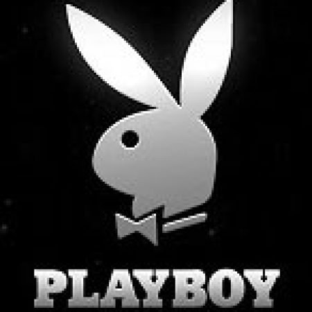 Playboy Slot – Kho Game Slot Online Uy Tín và Đa Dạng Nhất