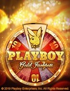 Playboy Gold Jackpots Slot – Hướng Dẫn Chơi Slot Online Chi Tiết Cho Người Mới