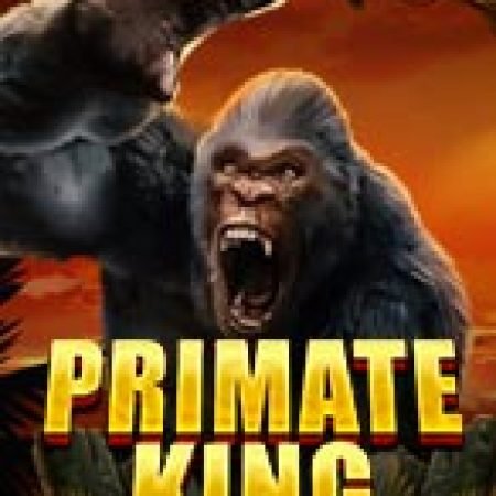 Vua Khỉ – Primate King Slot – Kho Game Slot Online Uy Tín và Đa Dạng Nhất