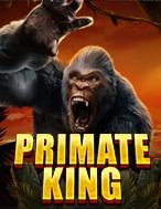 Vua Khỉ – Primate King Slot – Kho Game Slot Online Uy Tín và Đa Dạng Nhất