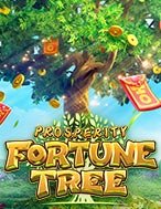 Cây Thịnh Vượng – Prosperity Fortune Tree Slot – Hướng Dẫn Chơi Slot Online Chi Tiết Cho Người Mới