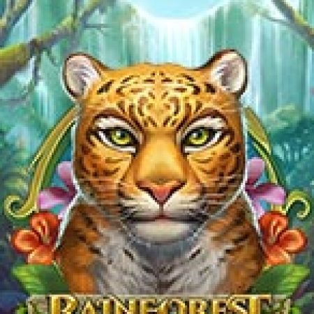 Tìm Hiểu Về Thần Rừng – Rainforest Magic Slot: Cách Chơi, Tips & Tricks Để Thắng Lớn