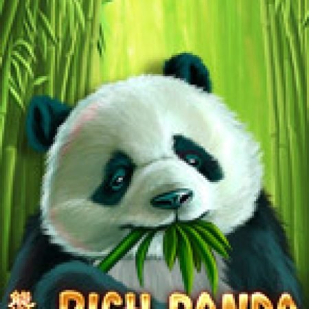 Rich Panda Slot – Hướng Dẫn Chơi Slot Online Chi Tiết Cho Người Mới