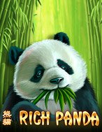 Rich Panda Slot – Hướng Dẫn Chơi Slot Online Chi Tiết Cho Người Mới