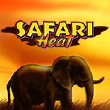 Safari Heat Slot – Hướng Dẫn Chơi Slot Online Chi Tiết Cho Người Mới